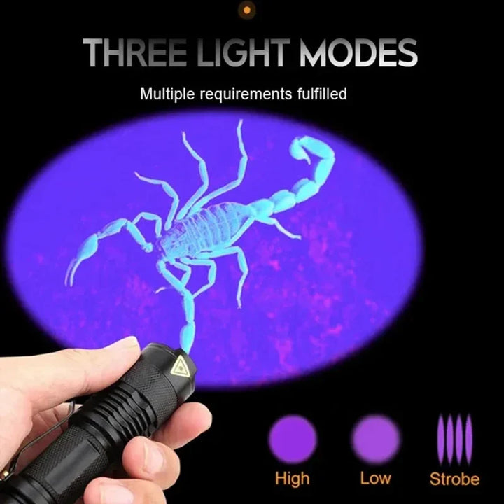 UV-lampa som effektivt visualiserar dolda fläckar och husdjursurin på mattor, gör städningen enklare.