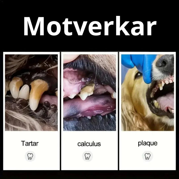 Dubbelsidiga tandstensskrapor för detaljerad rengöring. Ett måste för effektiv hund- & kattvård.