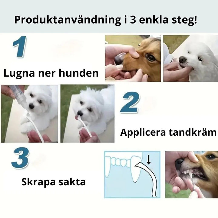 Förebyggande tandvård med tandstensskrapor för husdjur. För friska tänder hos hund & katt.