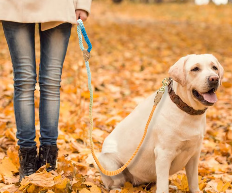 Färgglatt bomullskoppel i spiralform för hund, perfekt för säkra och stiliga promenader.