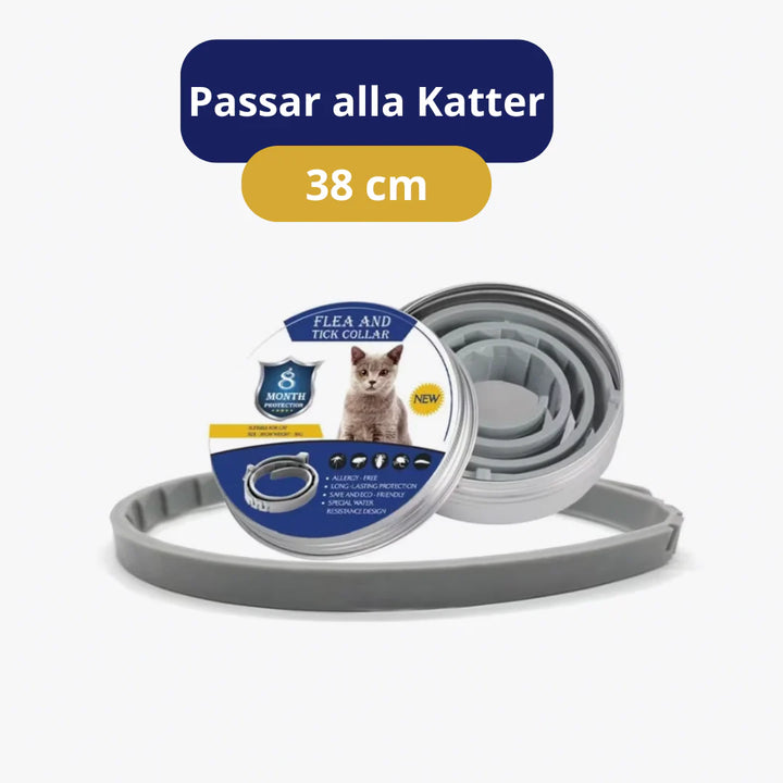 Händer sätter på fästinghalsband för hund & katt. Enkel applicering för effektivt fästingskydd.