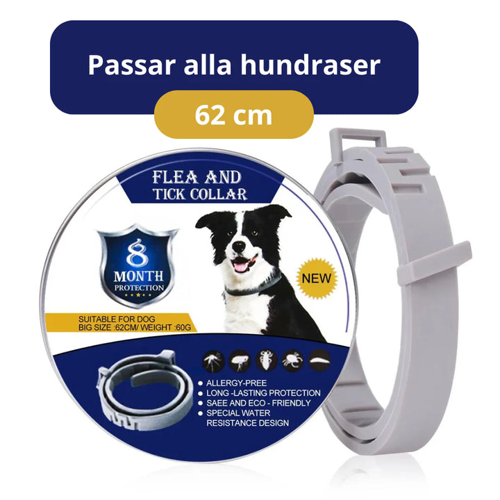 Två fästinghalsband för att skydda hund & katt från fästingar. Långvarigt ohyreskydd för familjens husdjur.