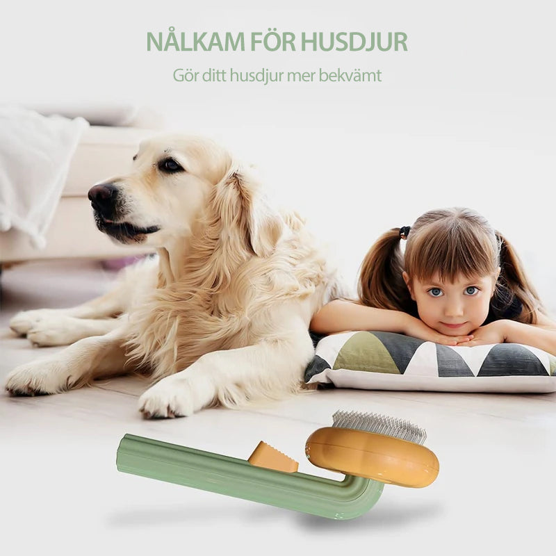 "Färgglad pumpaformad husdjursborste för hundar och katter med ergonomiskt grepp och böjda trådar för djup vård."