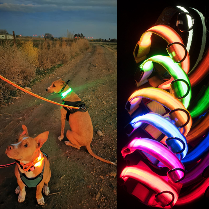 "Färgglatt LED hundhalsband, stark belysning för nattpromenader, justerbart, bekvämt för hundens säkerhet och synlighet."