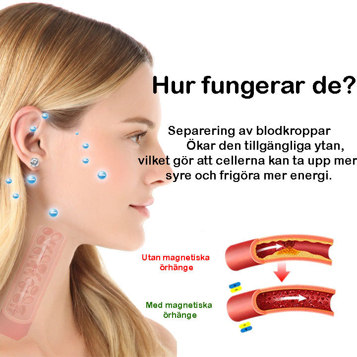 Magnetiska Örhängen För Viktminskning