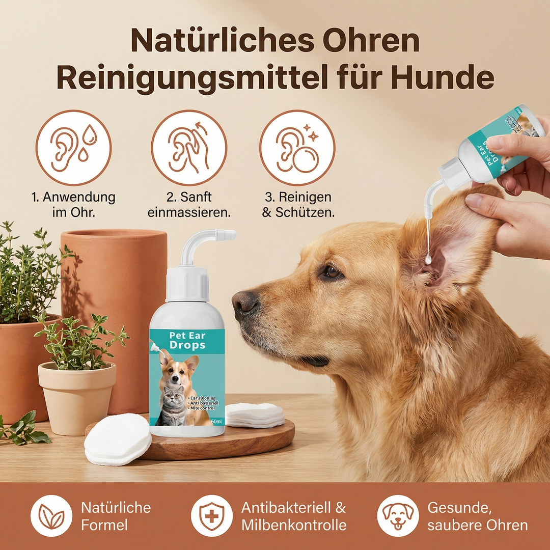 Hund får naturlig öronrengöring applicerad. Skonsam hundvård för lugna öron, minskar klåda effektivt.