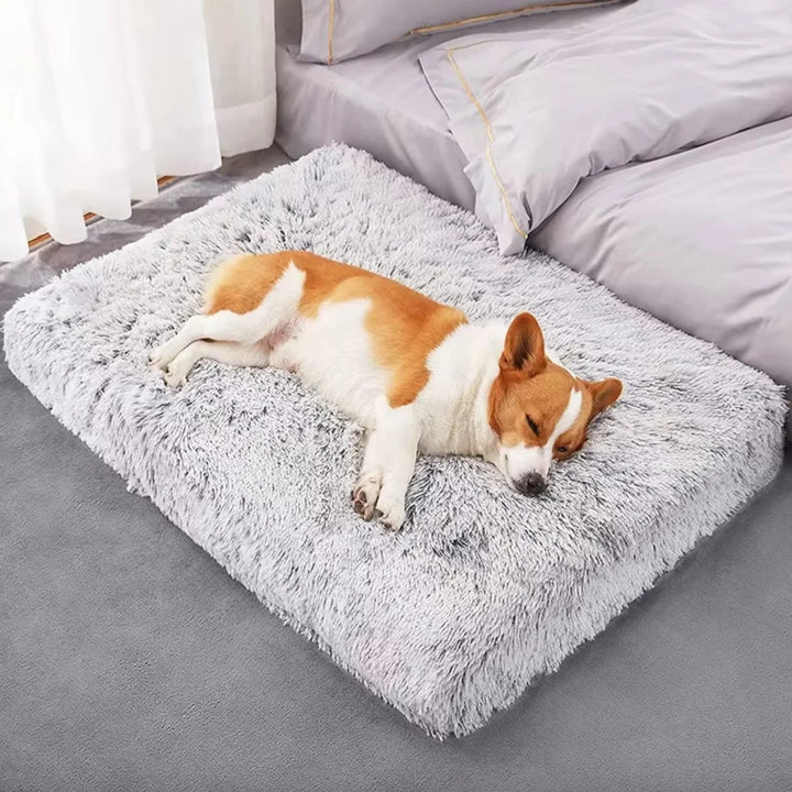 Ergonomisk CozyCloud fluffig djurbädd, stöder vila och minskar stress för både hund och katt.