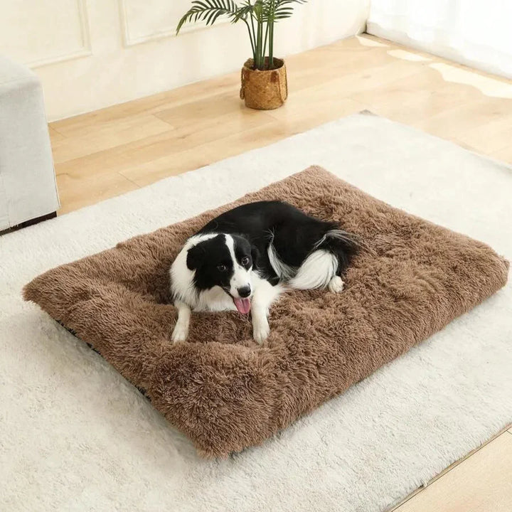 Modern CozyCloud fluffig säng för husdjur, stilren design med mjuk komfort för din hund eller katt.
