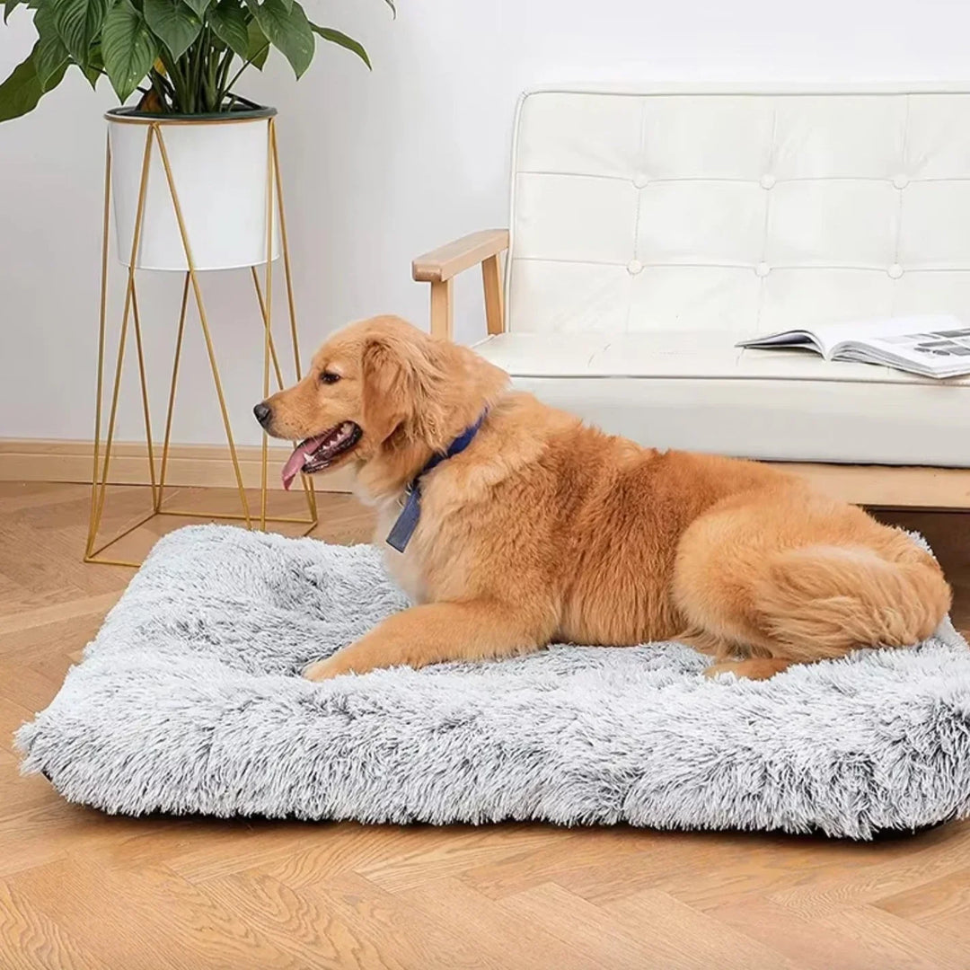 Tvättbar CozyCloud fluffig hundbädd, en bekväm säng för enkel rengöring och hållbarhet.