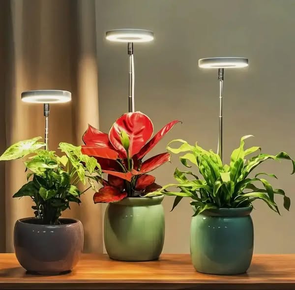 Fullspektrum LED-växtlampa för inomhusväxter med timer och dimmer. Främjar optimal växttillväxt. USB.