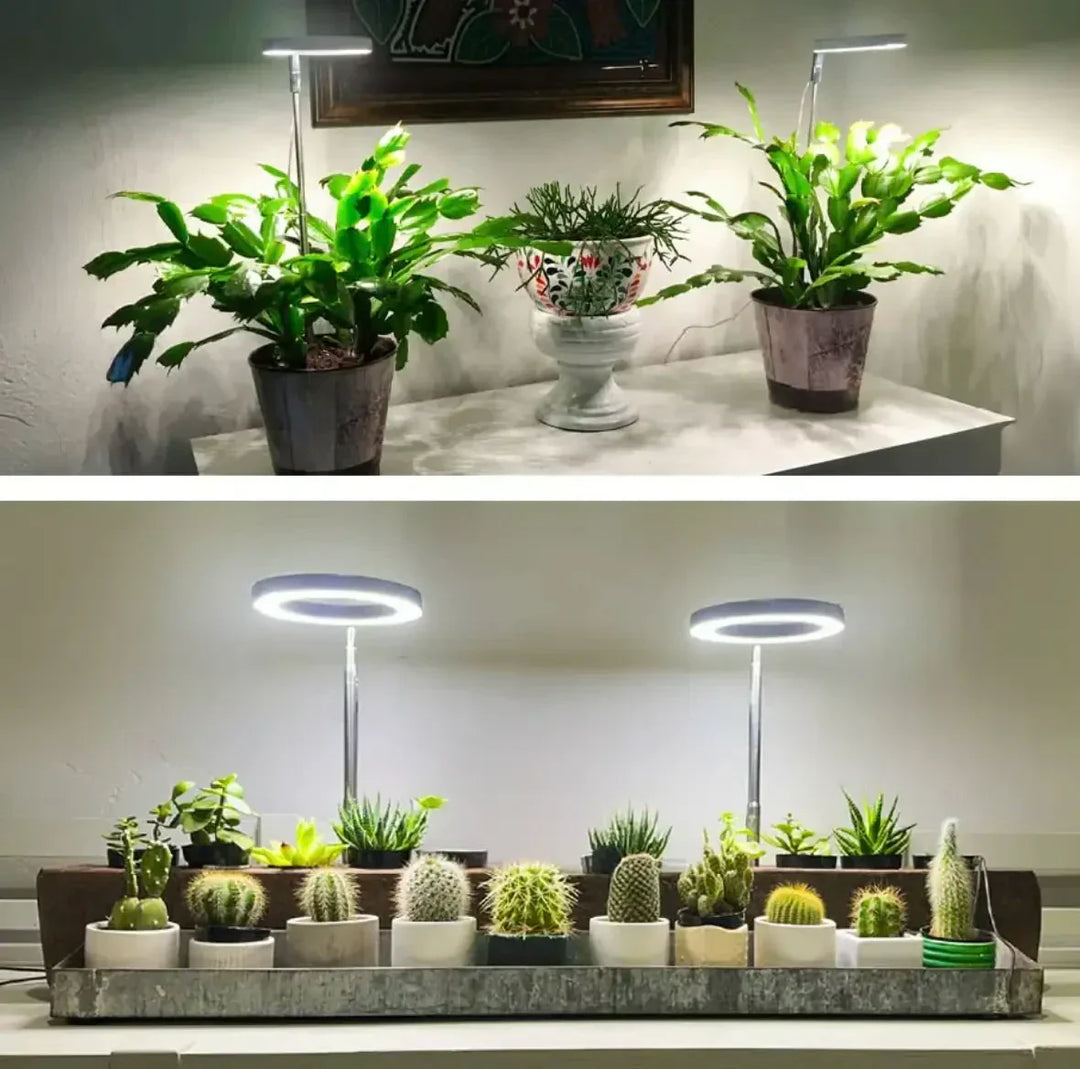 Närbild på kraftfull LED-växtlampa, fullspektrum för optimal odling. Idealisk plantbelysning inomhus.