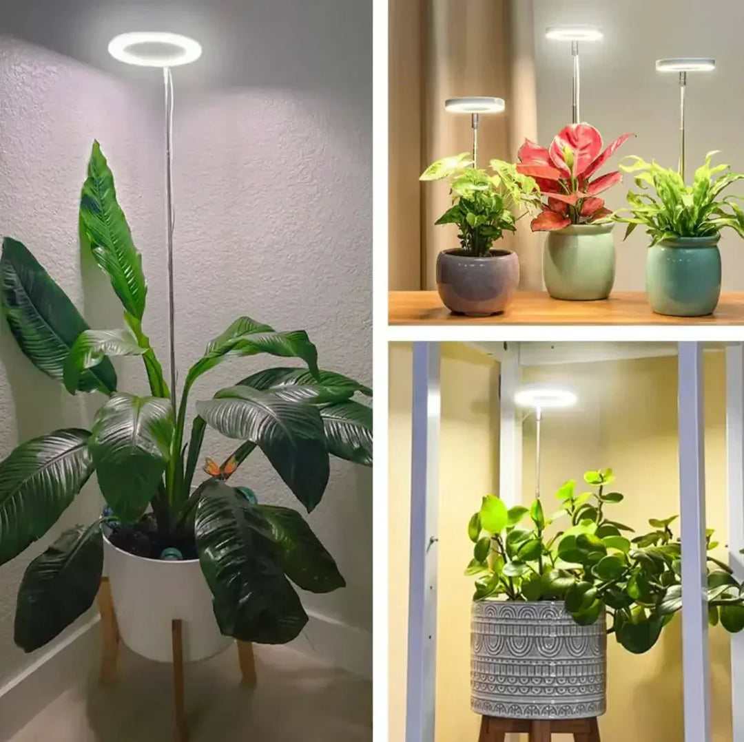 Flexibel växtlampa med klämma, timer och dimmer. Ger fullspektrumljus för effektiv odling av inomhusväxter.