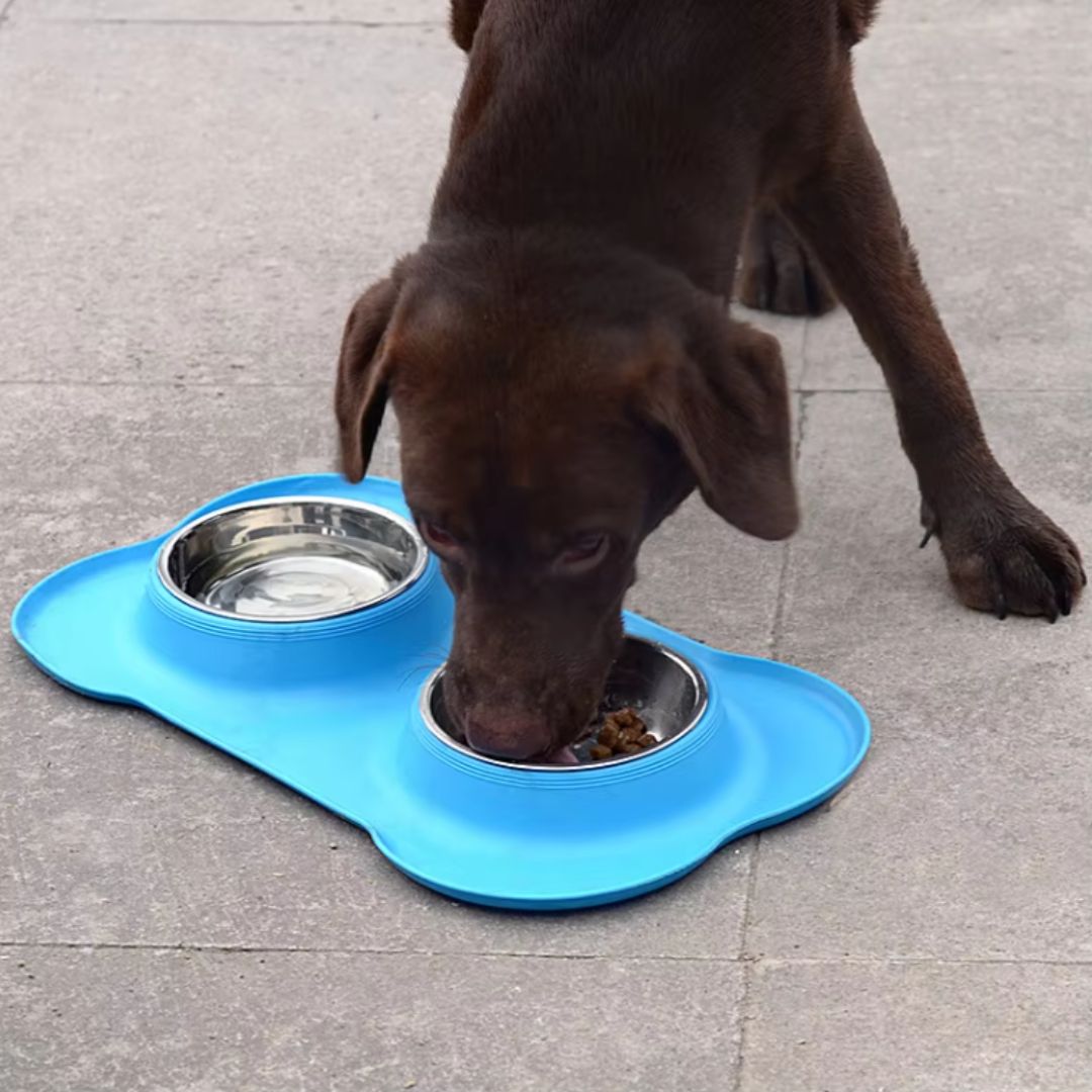 Halkfri dubbelskål för hund med silikonunderlägg. Stabil mat- och vattenskål för ren matplats.