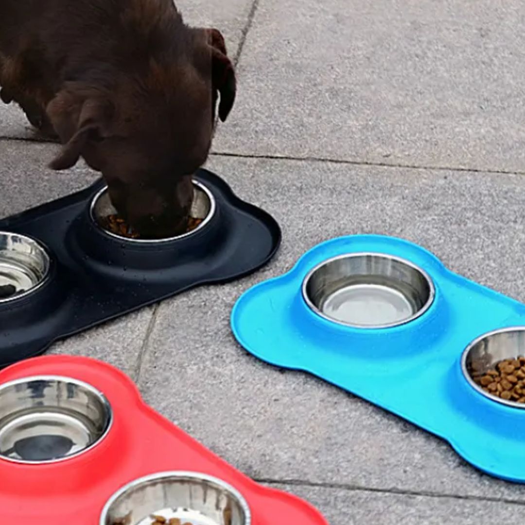 Praktisk dubbelskål för hund, mat och vatten i en enhet. Halkfri design med silikonunderlägg.