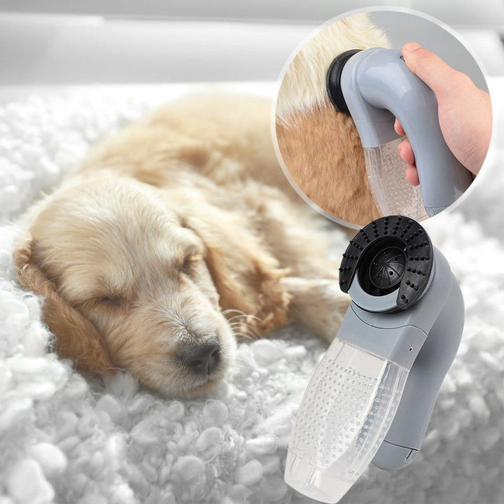 "Handhållen djurhårsdammsugare med kompakta design, trådlös funktionalitet, mjuka massagenubbar och kraftigt sug."