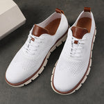 Vit