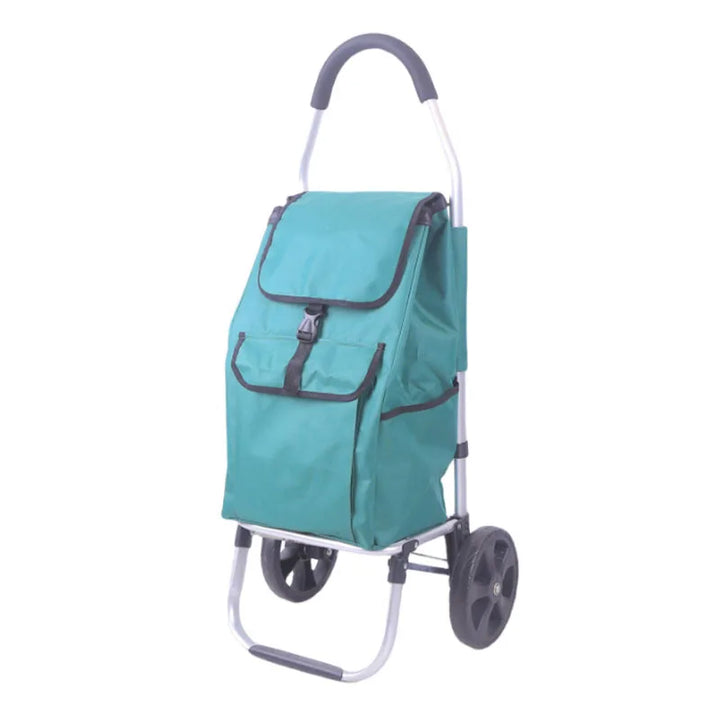 Robust aluminiumshoppingvagn CarryEase med stor kapacitet, pålitlig för alla dina shoppingbehov.
