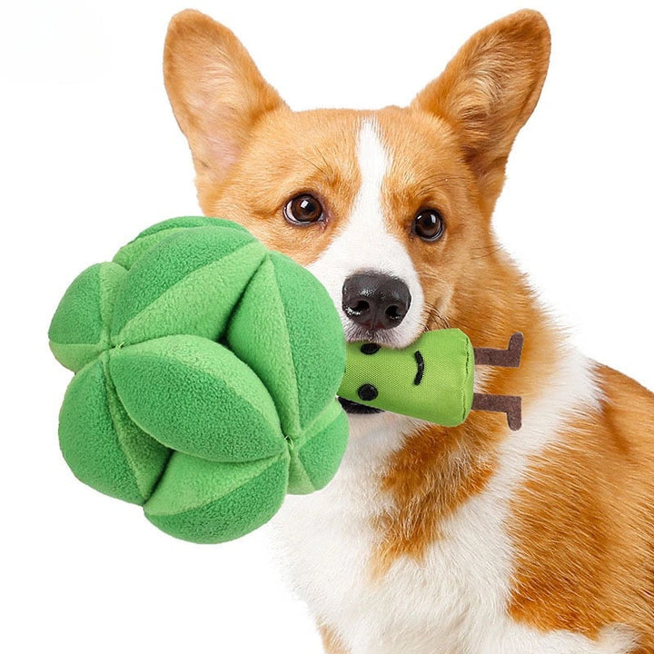 Hund som leker med interaktiv godisleksak för mental stimulans. En aktivitetsleksak för berikning.