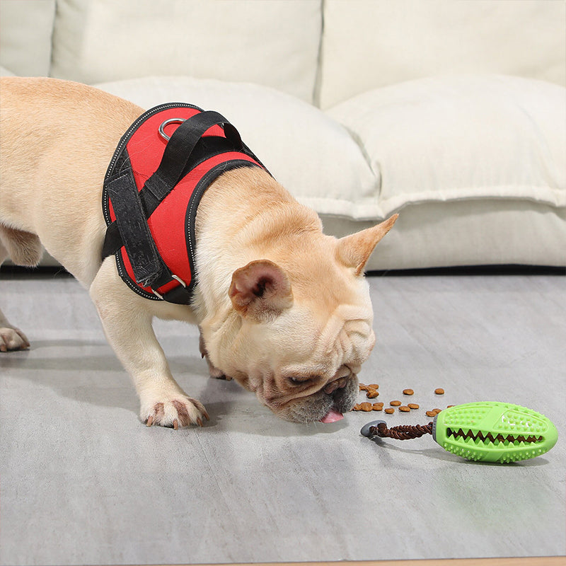 "Hund Tandborste Leksak i blå TPR-gummi, hållbar och säker för effektiv tandrengöring och lek."