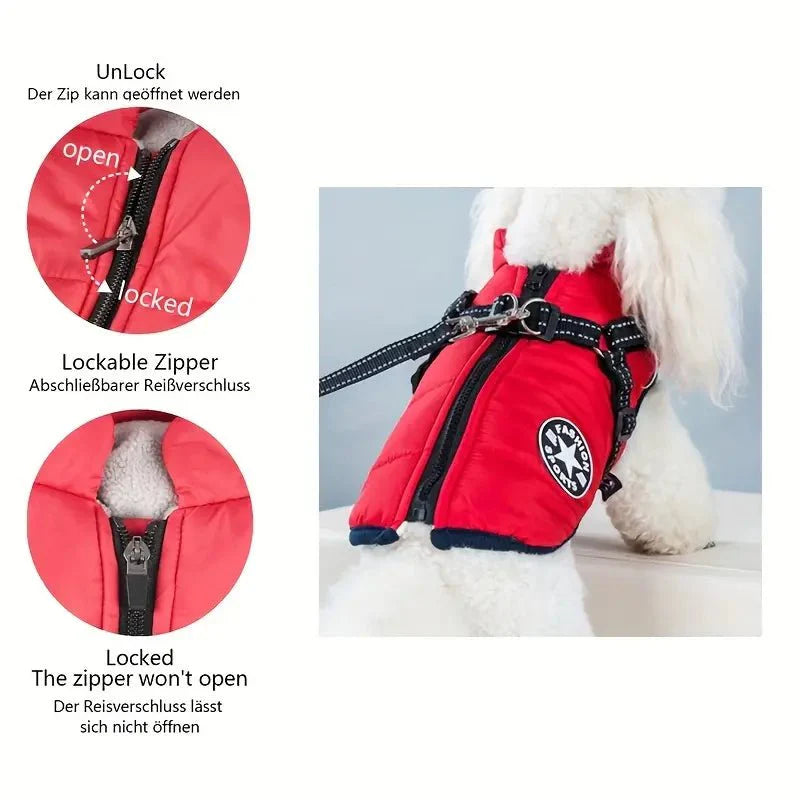Skyddande hundens vintertäcke som håller hunden torr och varm under kalla utomhuslekar.