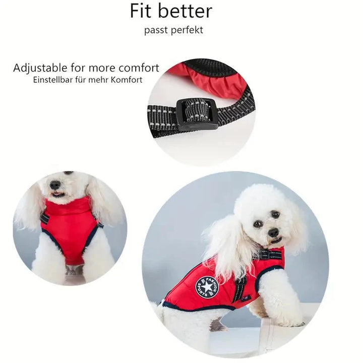 Reflekterande hundkläder: ett säkert och varmt vintertäcke med fleecefoder.