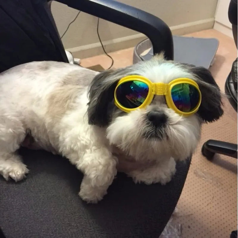 Hundgoggles med UV-skydd för ögonvård. Skydda din hunds ögon mot solens strålar med stil.