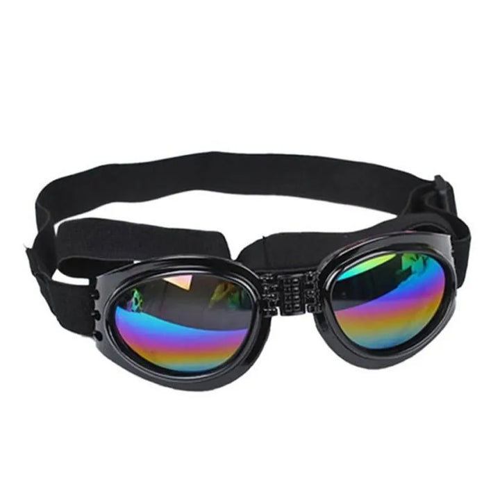 Glad hund bär UV-skyddande hundgoggles. Njut av solen säkert med stiliga hundglasögon.