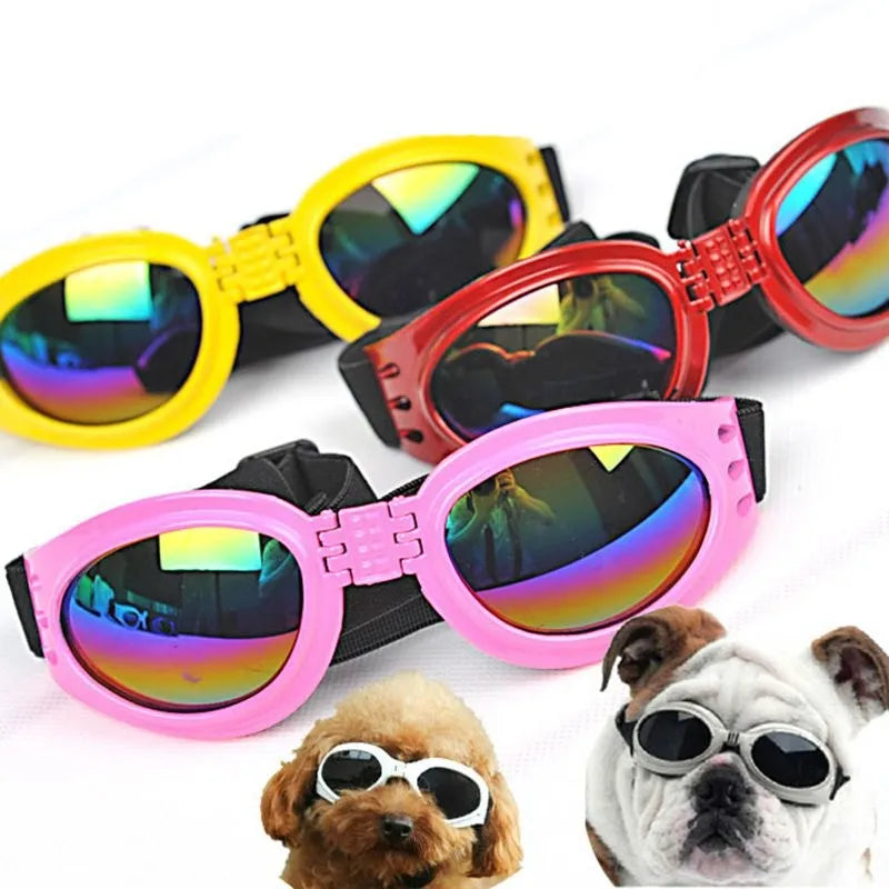 Förebyggande ögonvård för hundar med UV-skyddande hundgoggles. Viktigt husdjursskydd i starkt solsken.