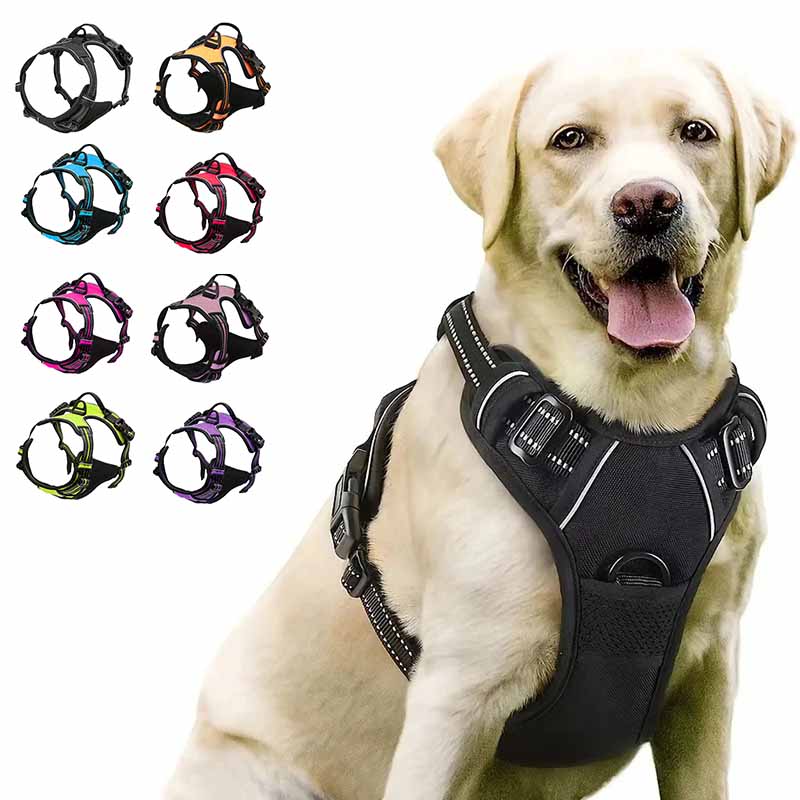 Hundsele för bil & promenad. Säker, bekväm passform med reflex för optimal synlighet.