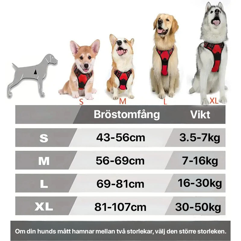 Reflexsele för hundpromenader. Synlig & bekväm promenadsele för mörka kvällar.