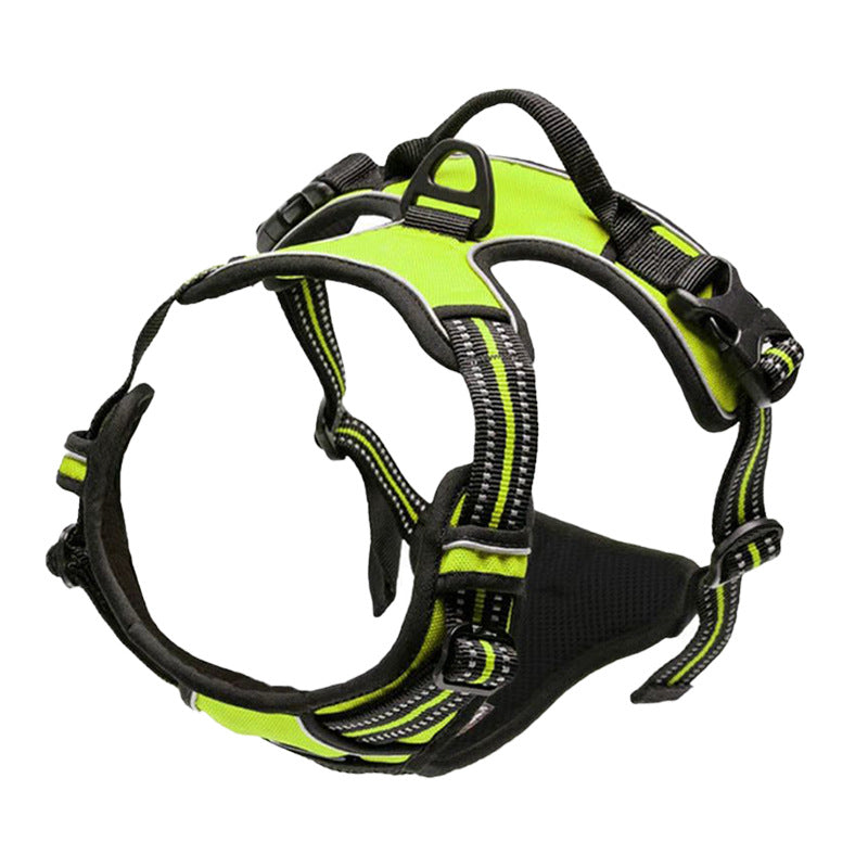 Glad hund bär bekväm hundsele på promenad. Säkerhetssele med reflex för bästa synlighet.
