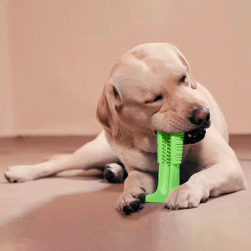 "Hundtandborste med 360 design för effektiv rengöring, säker och robust TPE-material, perfekt för alla hundstorlekar."