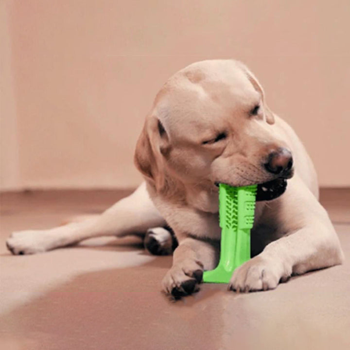 "Hundtandborste med 360 design för effektiv rengöring, säker och robust TPE-material, perfekt för alla hundstorlekar."