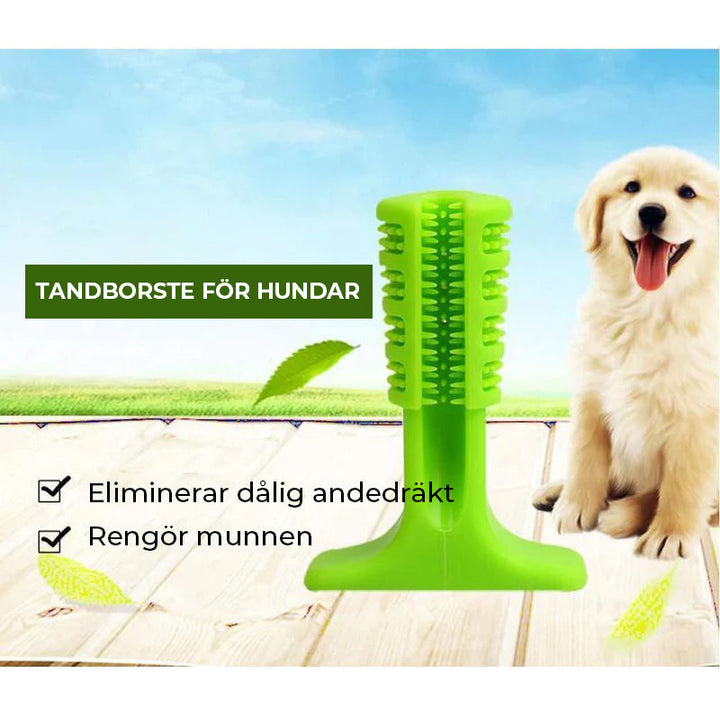 "Hundtandborste med 360 design för effektiv rengöring, säker och robust TPE-material, perfekt för alla hundstorlekar."