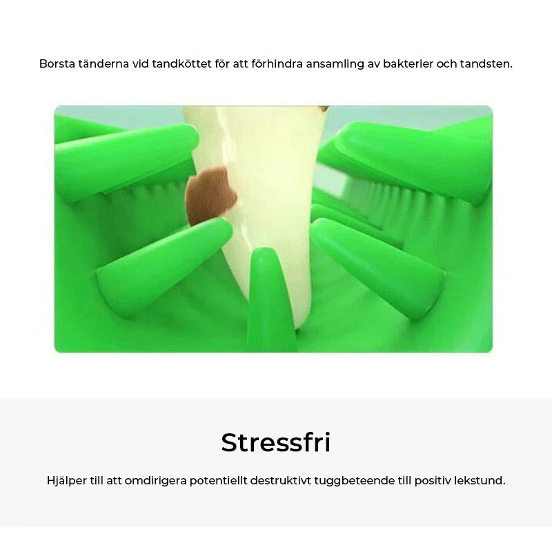 "Hundtandborste med 360 design för effektiv rengöring, säker och robust TPE-material, perfekt för alla hundstorlekar."