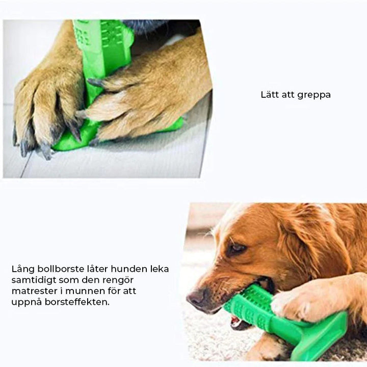 "Hundtandborste med 360 design för effektiv rengöring, säker och robust TPE-material, perfekt för alla hundstorlekar."