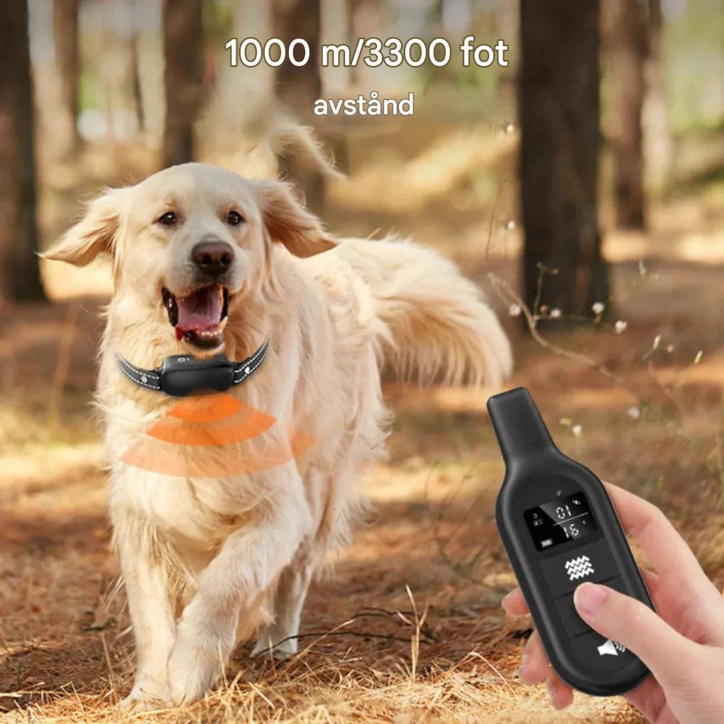 Vattentätt hundträningshalsband för utomhusträning, perfekt för att förbättra hundens beteendekontroll.