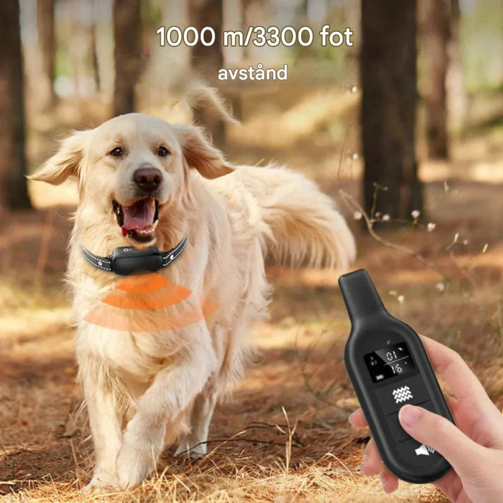 Vattentätt hundträningshalsband för utomhusträning, perfekt för att förbättra hundens beteendekontroll.