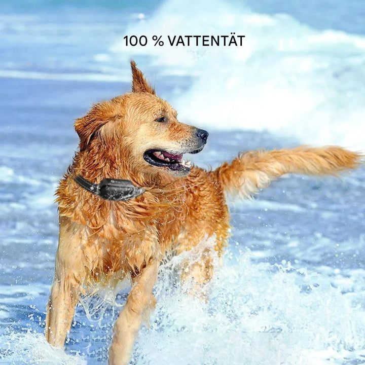 Modernt träningshalsband med fjärrkontroll för hundar, bidrar till säker lydnad och bättre hundträning.