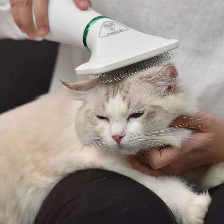 "Husdjur Stilig Torkborste 2-i-1, ergonomisk, kompakt, svart/röd, med justerbar temperatur och säkerhetsskydd"