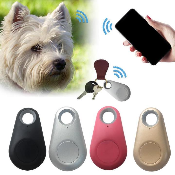 Kompakt GPS-tracker för husdjur. Fäst enkelt på hundhalsband eller kattsele för säker spårning.