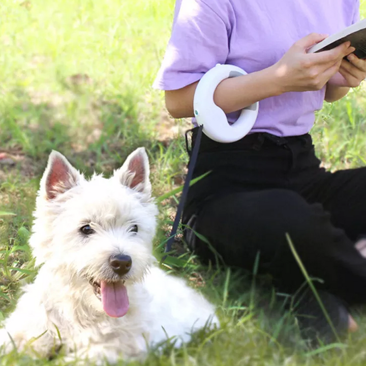Infällbart dragrep med LED-ljus för husdjur, ergonomiskt handtag, starkt rep, perfekt för säkra promenader dag och natt.