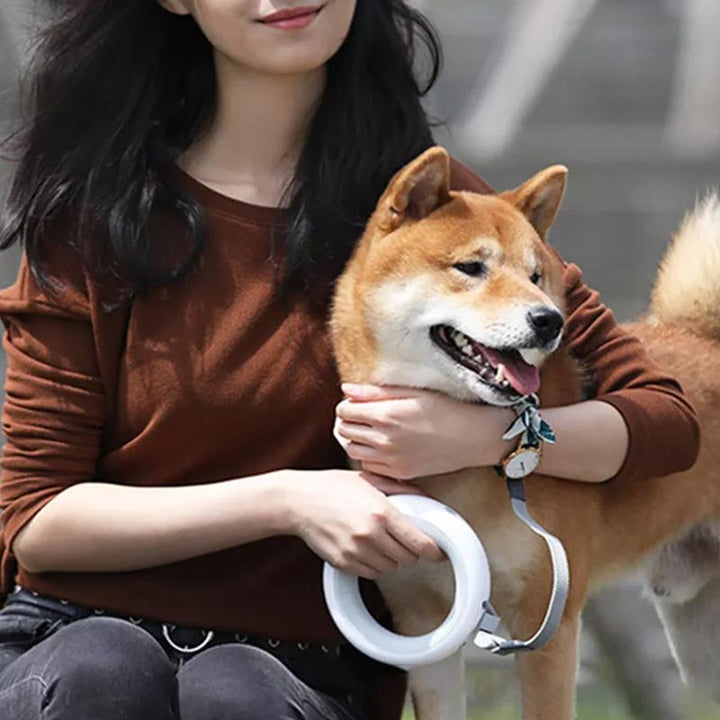 Infällbart dragrep med LED-ljus för husdjur, ergonomiskt handtag, starkt rep, perfekt för säkra promenader dag och natt.