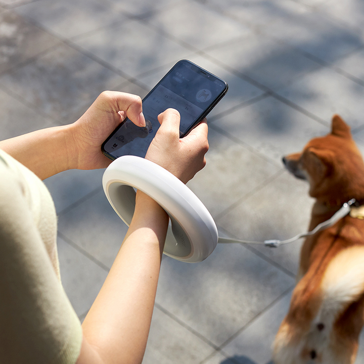 Infällbart dragrep med LED-ljus för husdjur, ergonomiskt handtag, starkt rep, perfekt för säkra promenader dag och natt.