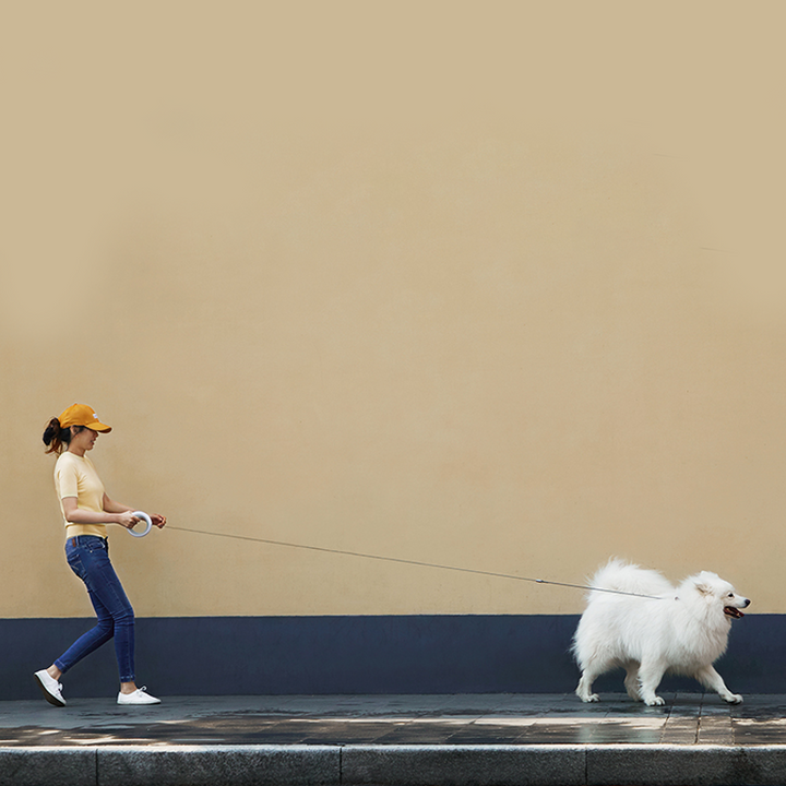 Infällbart dragrep med LED-ljus för husdjur, ergonomiskt handtag, starkt rep, perfekt för säkra promenader dag och natt.