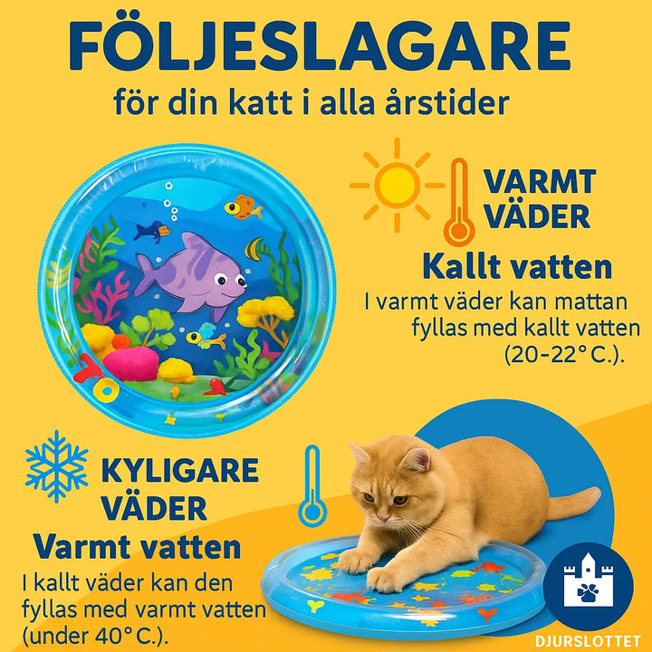 AquaPaw vattenlekmatta utrullad utomhus, redo att ge svalka och rolig aktivering för husdjur under sommaren.