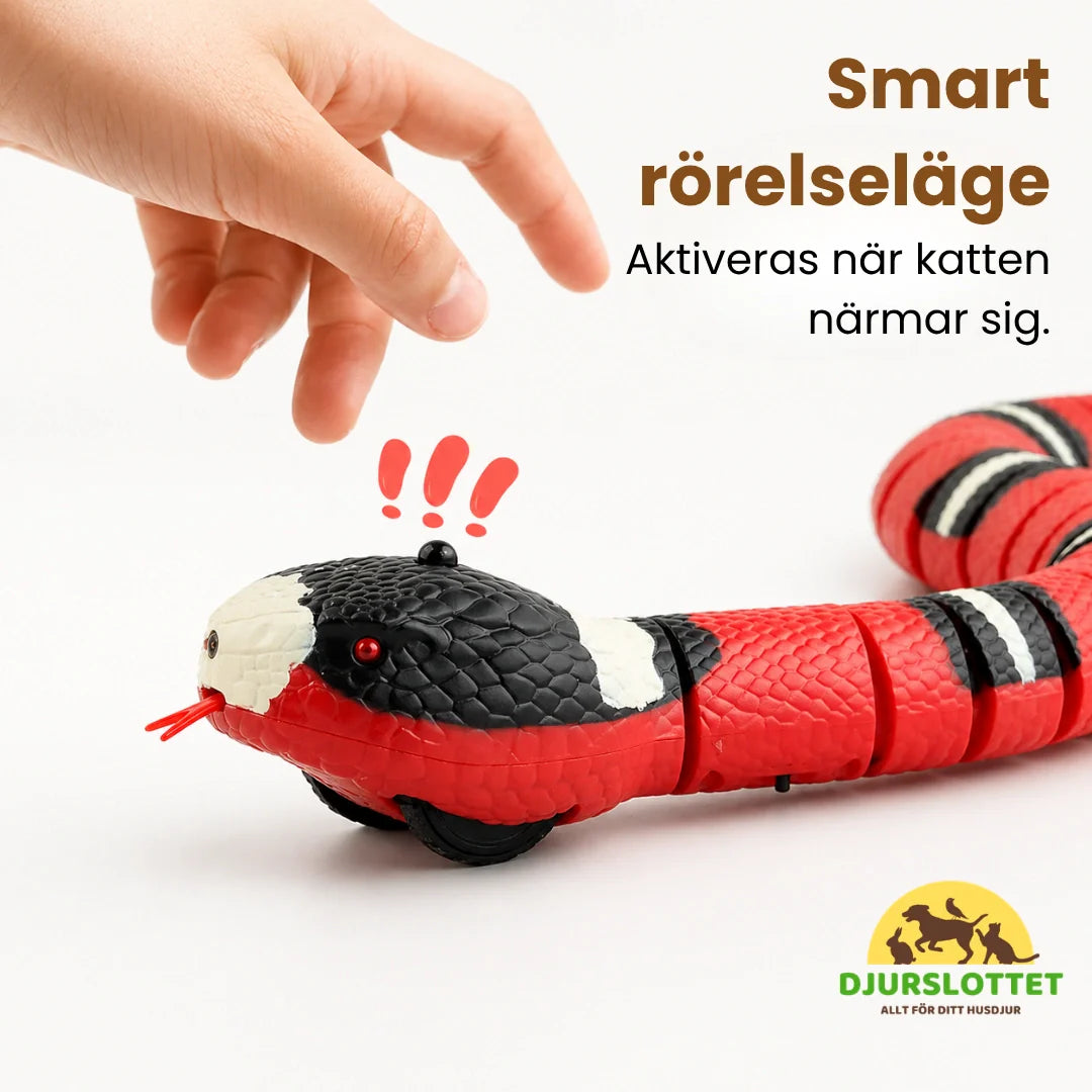 Nyfiken katt som leker med sin interaktiva ormleksak. Automatisk rörelse håller katten engagerad.
