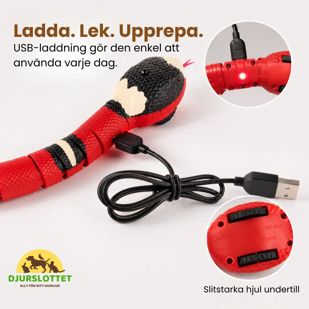 Lekfull automatisk ormleksak för kattens aktivering. Interaktiv design stimulerar naturliga jaktinstinkter.