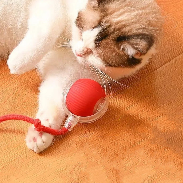 "Interaktiv boll för katter, 3-färg val, rullande på olika golv, engagerande leksak, interaktiv och pålitlig design"