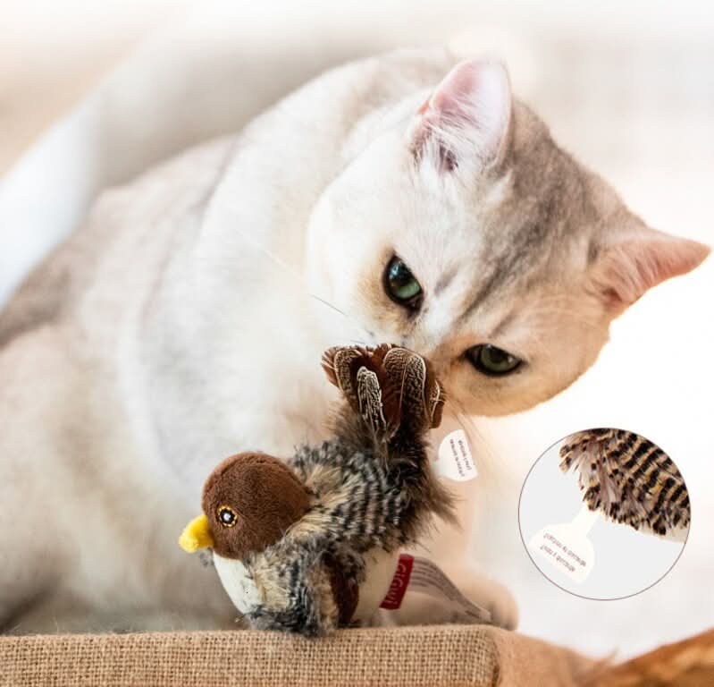 Fågelleksak som minskar stress & främjar aktiv lek hos katt. Interaktiv husdjursleksak för innekatt.